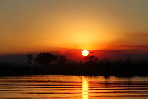 アフリカのSonennuntergang Okavango Delta — ストック写真