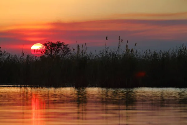 アフリカのSonennuntergang Okavango Delta — ストック写真