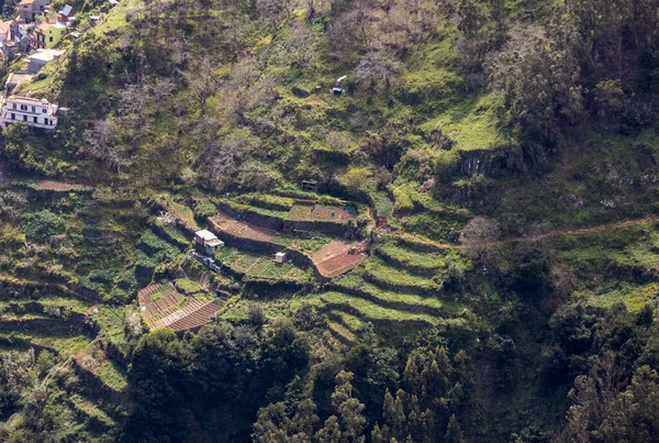 Valle Las Monjas Curral Das Freiras Isla Madeira Portugal — Foto de Stock