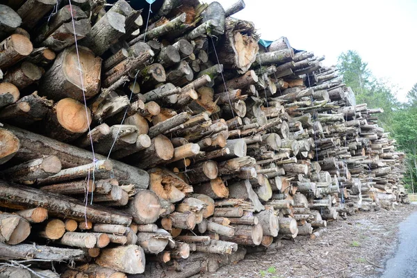 Brennholz Holzstapelholz — Stockfoto