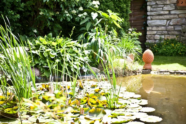 Wunderschöner Tropischer Garten Mit Blumen Und Pflanzen — Stockfoto