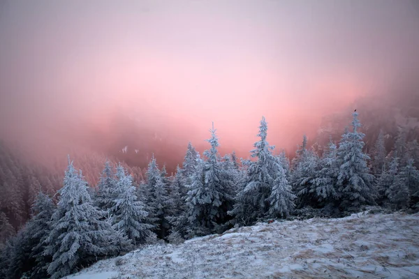 Фантастический Зимний Пейзаж Рассвета Драматическим Восходом Солнца Туманом Снегом — стоковое фото