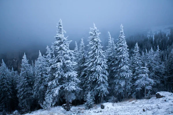 Fundo Natal Ano Novo Com Árvores Inverno Montanhas Cobertas Neve — Fotografia de Stock