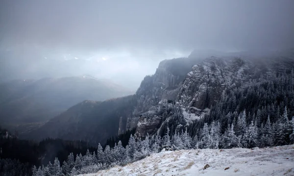 Árvores Abeto Nevado Nevoeiro Nas Montanhas Fundo Férias Mágico — Fotografia de Stock