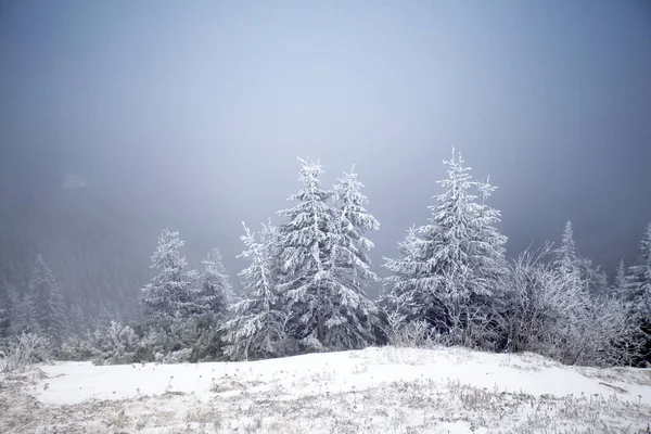 Fundo Natal Ano Novo Com Árvores Inverno Montanhas Cobertas Neve — Fotografia de Stock