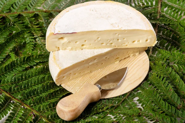 Gros Plan Reblochon Fromage Français — Photo