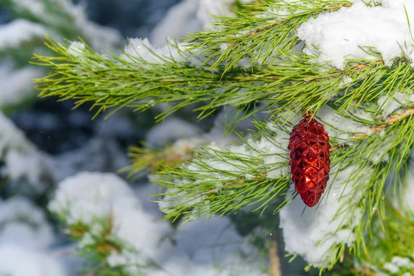 Gyönyörű Karácsonyi Játékok Lóg Egy Hófödte Fenyő Szabadban — Stock Fotó