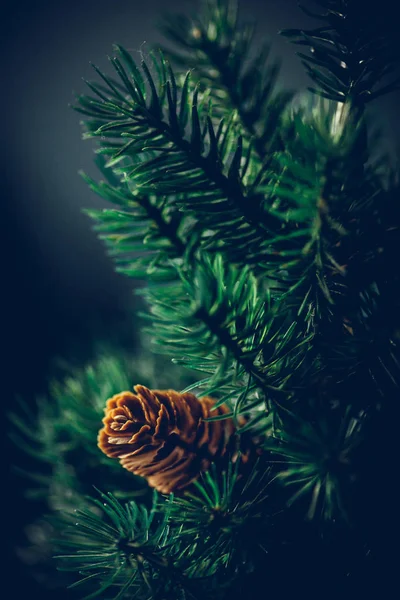 Color image of a fake plastic pine cone.
