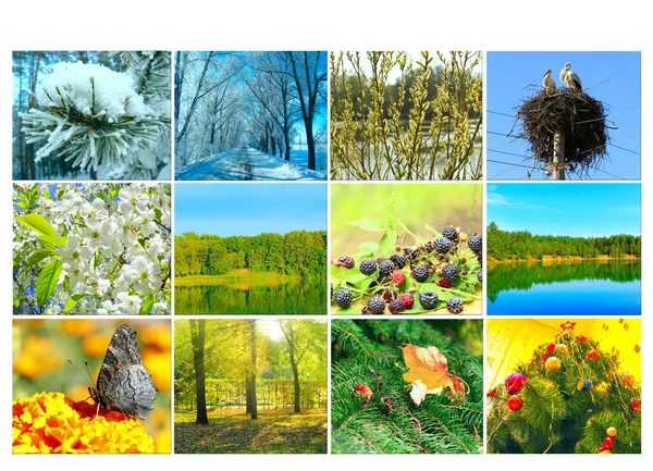 Branco Com Diferentes Doze Imagens Coloridas Natureza Para Calendário Foto — Fotografia de Stock