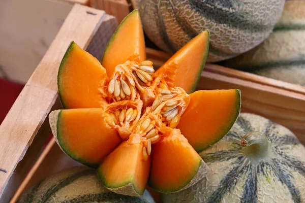 Close Ganze Frische Reife Sommer Cantaloupe Melonen Auf Dem Einzelhandelsdisplay — Stockfoto