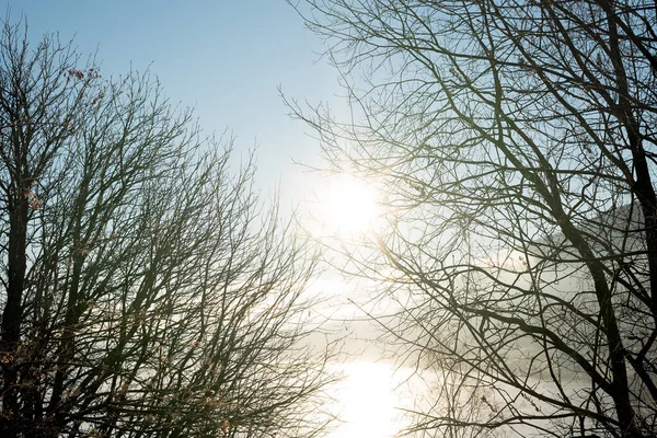 Tittar Genom Kala Höstgrenar Siluett Till Idyllisk Ljus Sol Reflekteras — Stockfoto