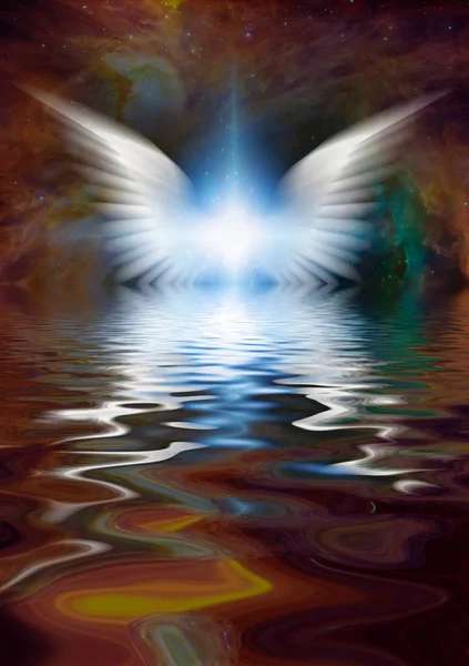 明亮的恒星 白色的翅膀反射在水面 — 图库照片