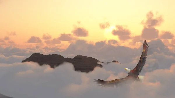 Águia Sobe Céu Nublado Pico Montanha — Fotografia de Stock