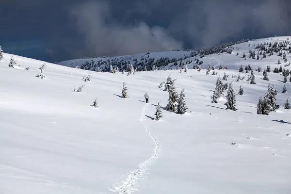 Jul Och Nyår Bakgrund Med Vinter Träd Berg Täckt Nysnö — Stockfoto