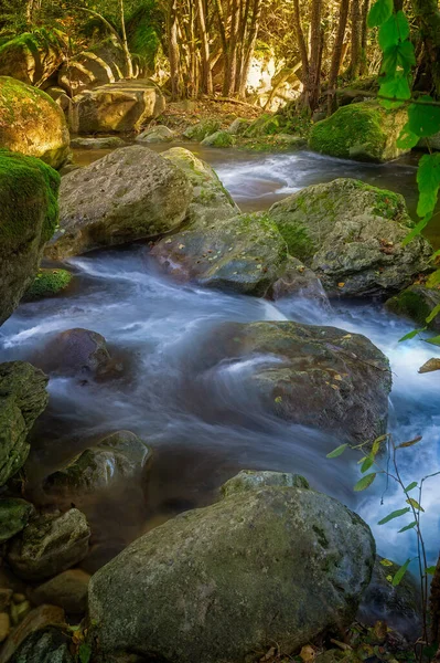 Belo Riacho Floresta Espanha Perto Aldeia Les Planes Hostoles Catalunha — Fotografia de Stock