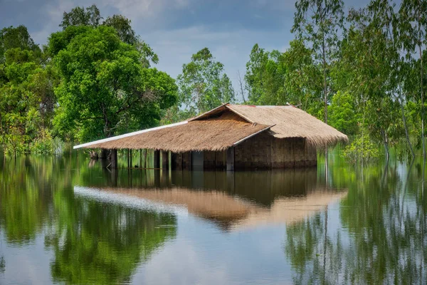 Жилое Здание Таиланде Затоплено Экстремальной Дождливой Погодой — стоковое фото