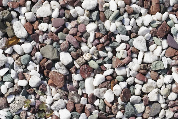 小石石のテクスチャと背景のクローズ アップ — ストック写真