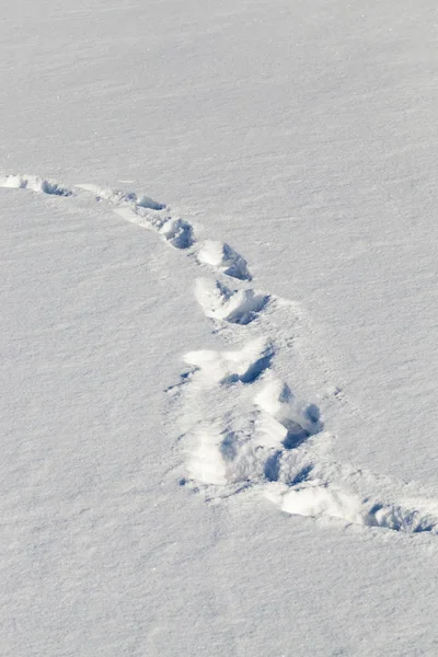 Faixas Curva Neve Forma Ziguezague Close Inverno — Fotografia de Stock
