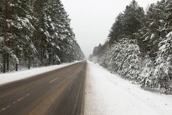 Skog Snön Vintern Året Genom Territoriet Liten Asfalterad Väg För — Stockfoto