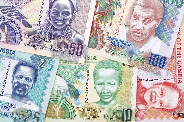 Gambisches Geld Als Unternehmerischer Hintergrund — Stockfoto
