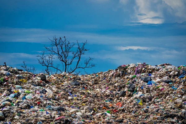 Doğadaki Çöplerin Çevresel Zararları — Stok fotoğraf