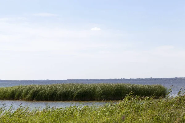 Lago Profondo Con Erba Canneti Che Crescono Lungo Riva Stagione — Foto Stock