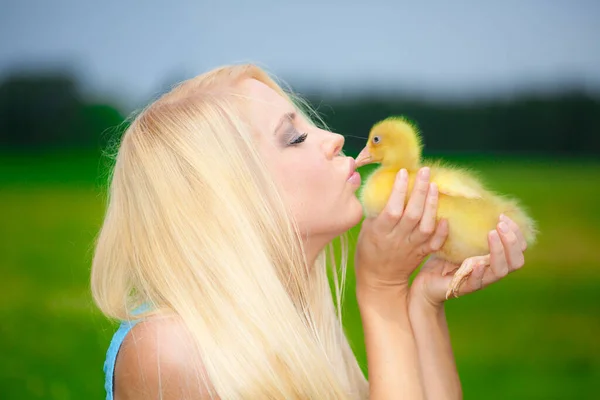 Güzel Bayan Sevimli Küçük Ördeklerle Oynuyor — Stok fotoğraf