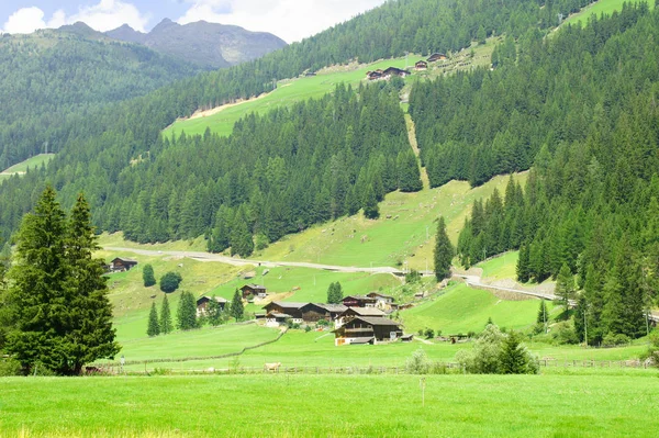 Dolina Ultimo Pobliżu Meran Południowym Tyrolu Latem — Zdjęcie stockowe