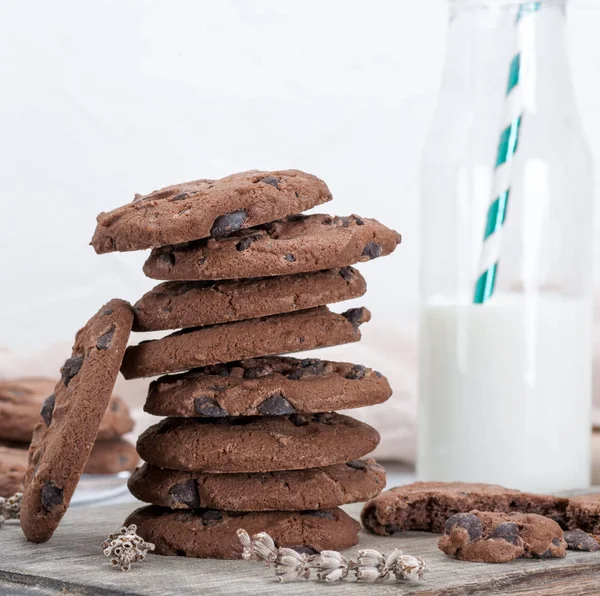 Pila Galletas Redondas Chocolate Primer Plano — Foto de Stock