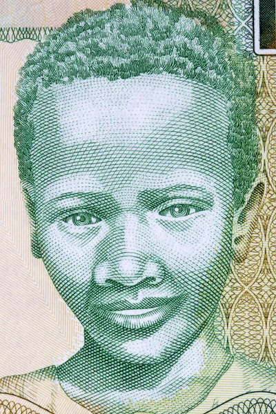 冈比亚男孩一张冈比亚货币的肖像画 — 图库照片