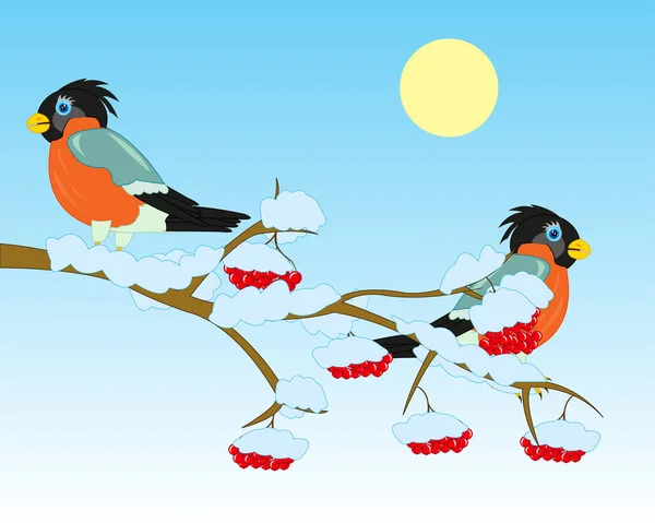 越橘冬季分枝 有浆果和鸟类牛翅 — 图库照片