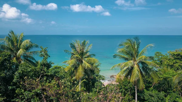 Olhando Através Folhas Árvores Tropicais Bela Lagoa Água Mar Céu — Fotografia de Stock