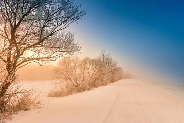 Strada Campagna Nebbiosa Invernale Alla Luce Del Sole Del Mattino — Foto Stock