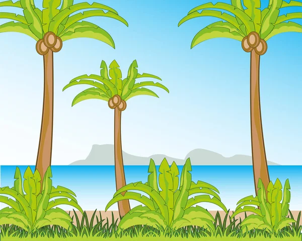 Oceanside Beach Palm Background Epidemic Deathes — Stock Photo, Image