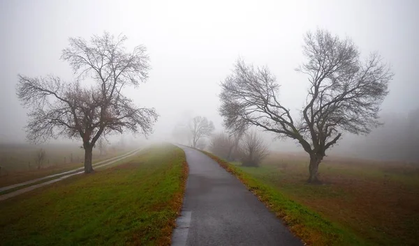 Krásný Výhled Přírodu — Stock fotografie