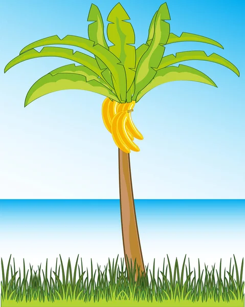 Ilustración Vectorial Del Hermoso Paisaje Tropical Palmeras Con Plátano Sobre — Foto de Stock