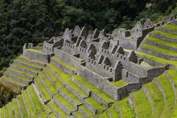 Ruines Inca Peru — Stock Photo, Image