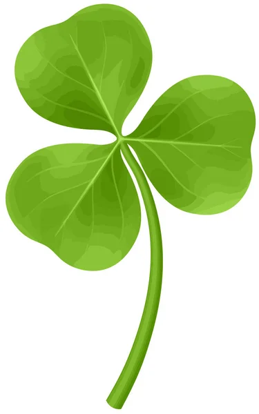 Four Leaf Clover Shamrock Groene Patricks Dag Geluk Illustratie — Stockfoto