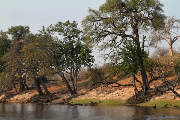ボツワナのチョベ国立公園で川の風景 — ストック写真