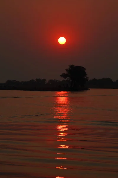 Afrika Okavango Deltası Nda Günbatımı — Stok fotoğraf