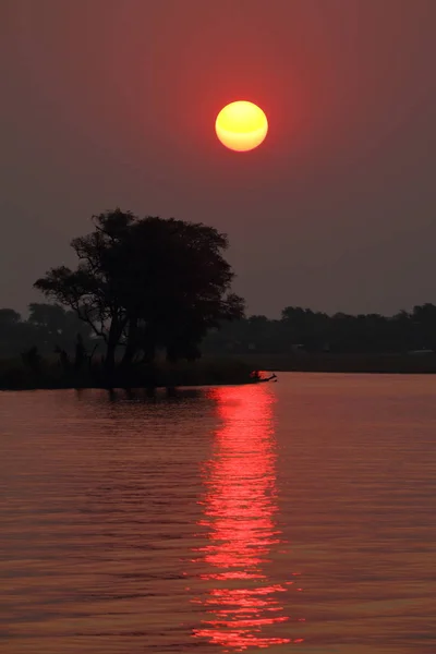 Pôr Sol Delta Okavango África — Fotografia de Stock