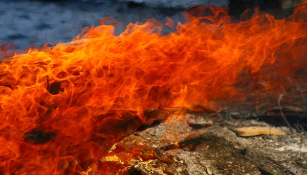 Varma Lågor Brinner Vinden — Stockfoto