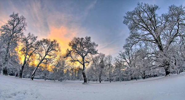 Snöig Solnedgång Parken — Stockfoto