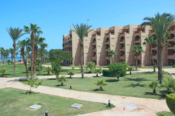 Травянистая Лужайка Среди Пальм Курорте Египте Отель Ухоженной Территорией Тропинка — стоковое фото