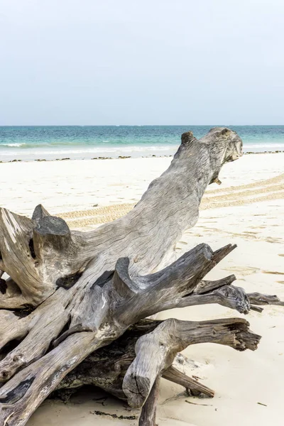 Schöner Tag Diani Beach Kenia — Stockfoto