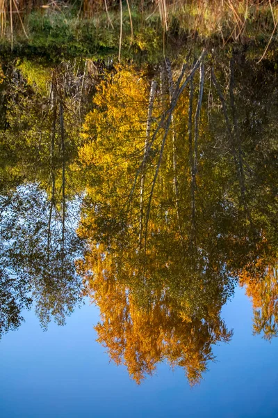 Blue Pond Jest Sztucznym Stawem Biei Hokkaido Japonia Jest Rezultat — Zdjęcie stockowe