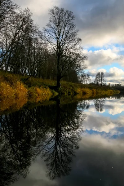 在阳光明媚的日子里俯瞰着秋天的河流和树木 秋天的一天 河边的森林 云彩和树木在水中的倒影 拉脱维亚的秋天 秋天的风景 绿树成荫 黄草成河 — 图库照片