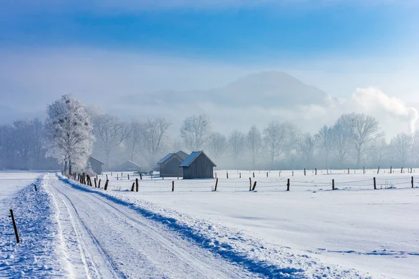 Pittoresca Vista Sul Paesaggio Invernale Innevato — Foto Stock