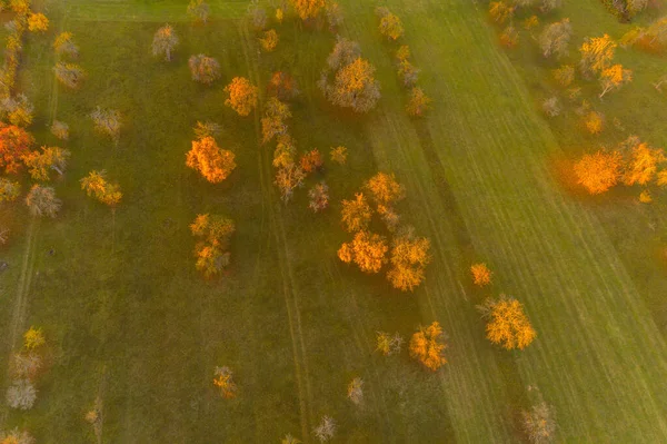 Vista Pájaro Del Paisaje Otoño —  Fotos de Stock