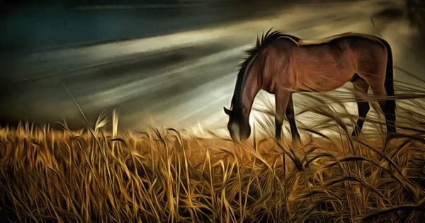 Живопись Лошадь Пасется Поле Солнечные Лучи Впечатляющие Облака — стоковое фото